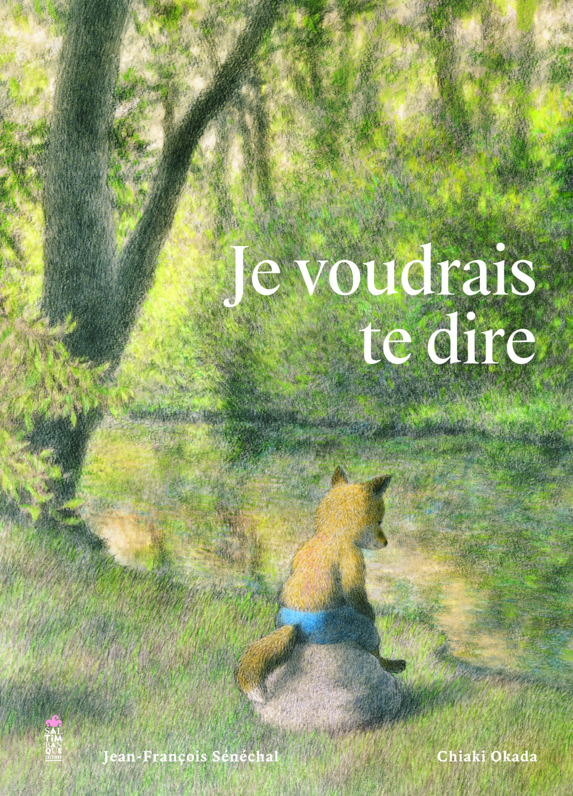 couverture du livre Je voudrais te dire